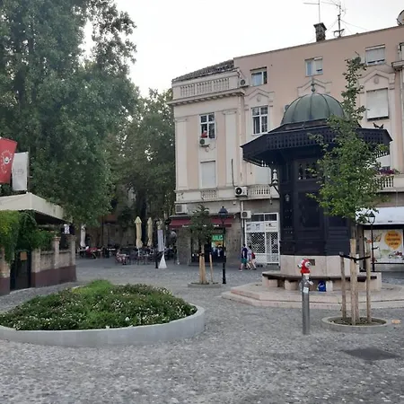 Rooster Belgrade