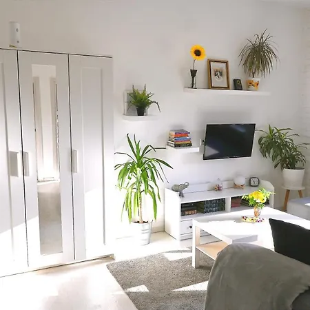 Rooster Apartment Belgrade