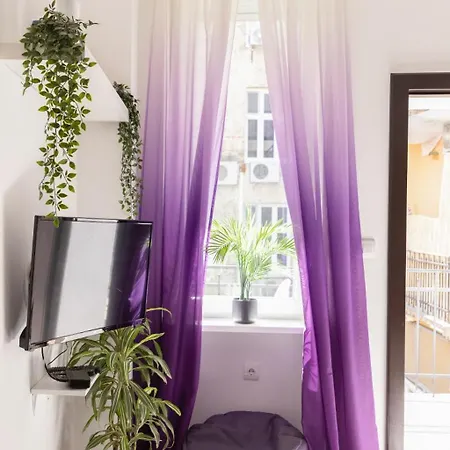 Apartamento Rooster *